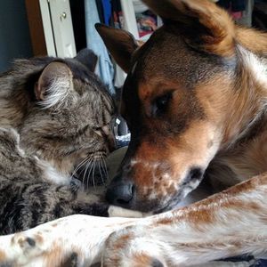 Meet your Posher, Alissa